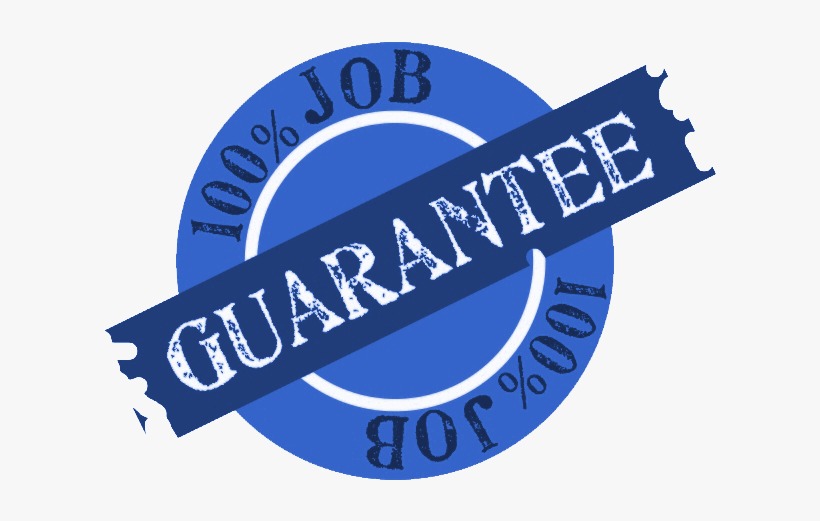 100% Jobs Guarantee
